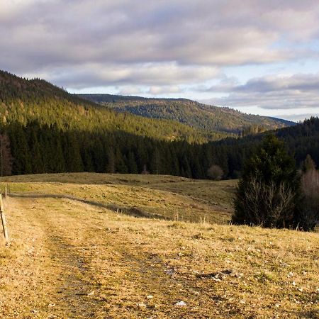Gemuetliche Ferienwohnung - Mitten Im Schwarzwald แบร์เนา อัม ชวาร์ซวัลด์ ภายนอก รูปภาพ