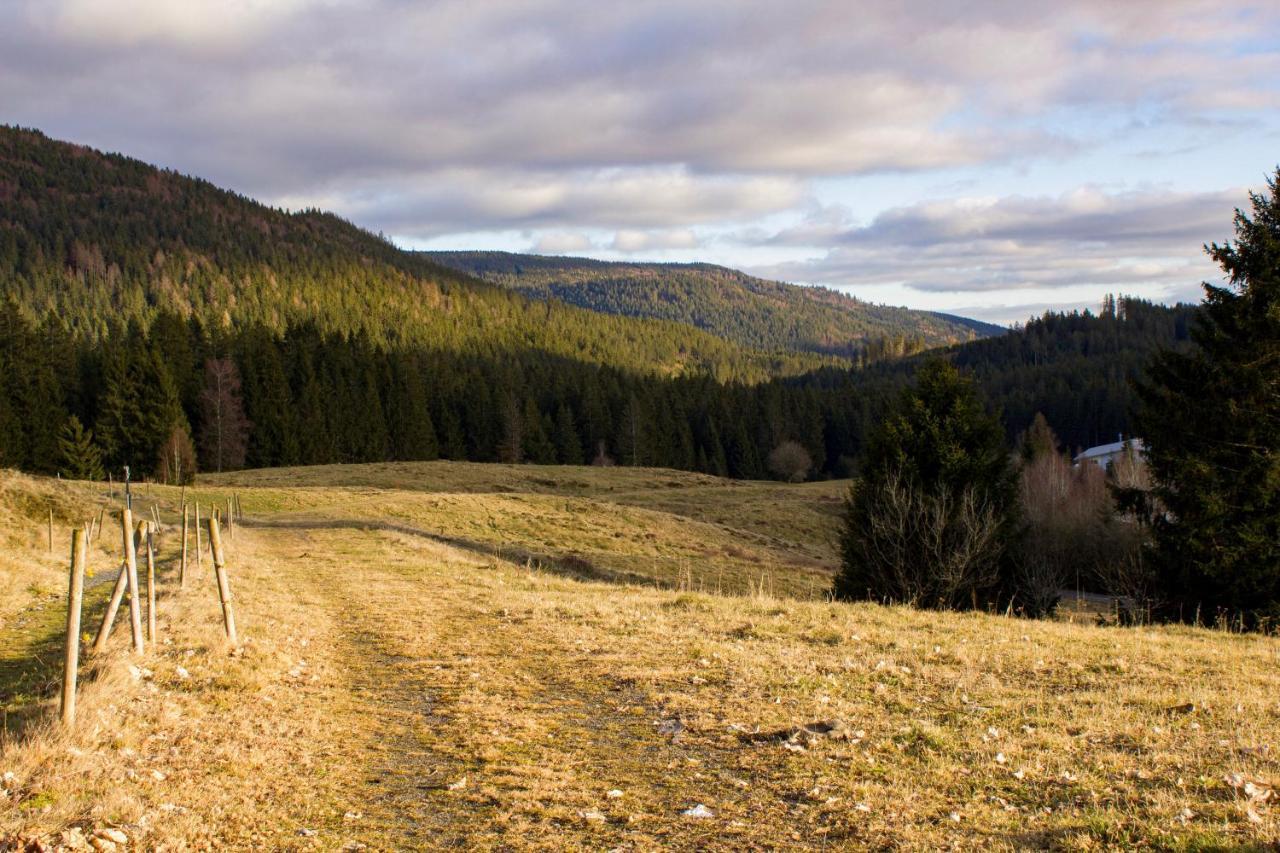 Gemuetliche Ferienwohnung - Mitten Im Schwarzwald แบร์เนา อัม ชวาร์ซวัลด์ ภายนอก รูปภาพ