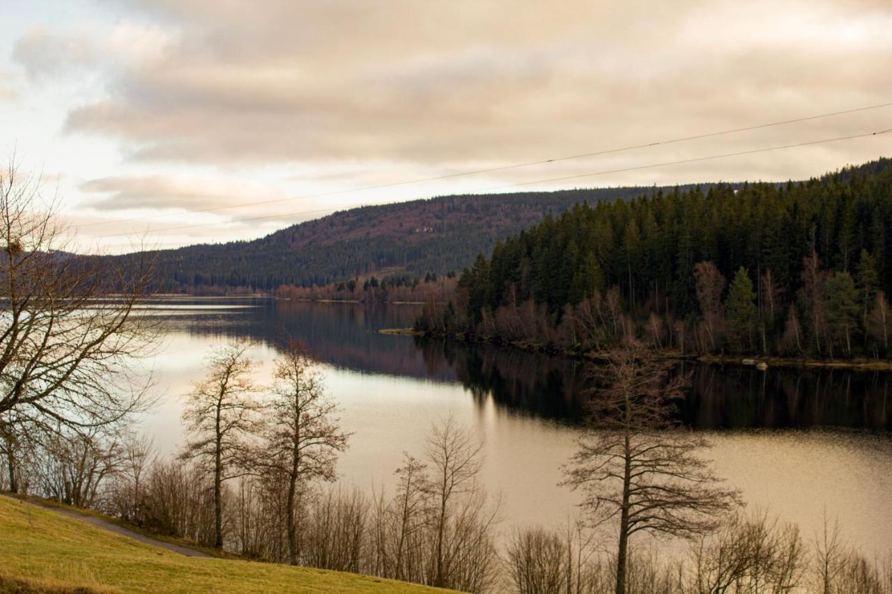 Gemuetliche Ferienwohnung - Mitten Im Schwarzwald แบร์เนา อัม ชวาร์ซวัลด์ ภายนอก รูปภาพ